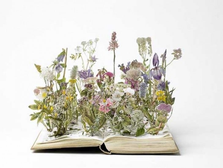 libro hecho arte naturaleza