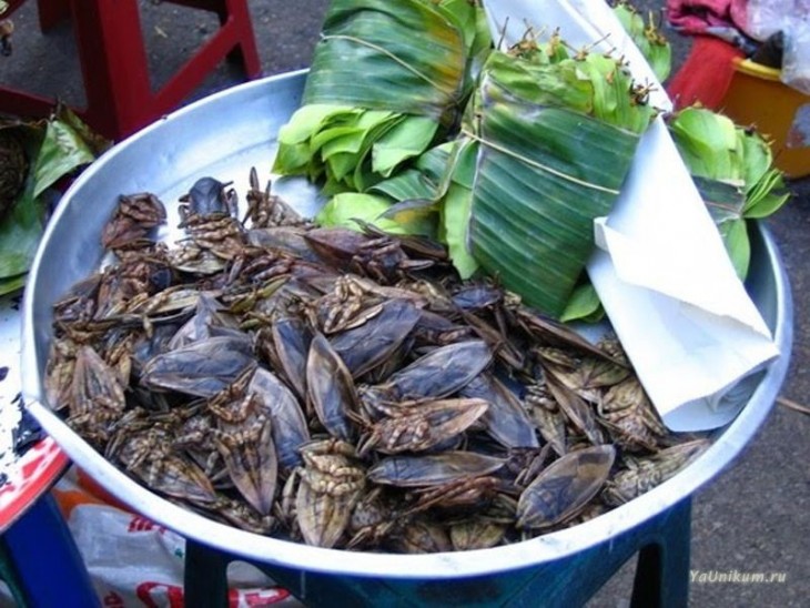 Un recipiente lleno de chinches de tamaño enorme con hojas de plátano 