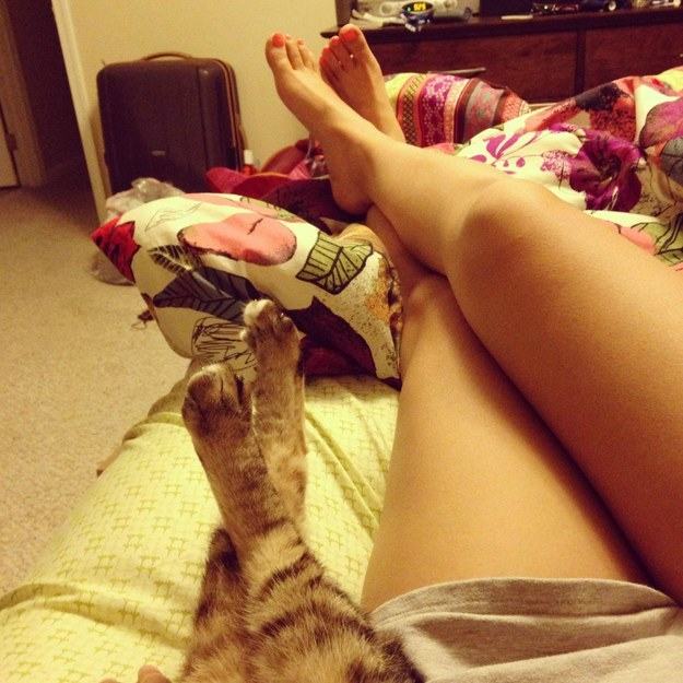 Piernas de una chica junto a las patas de un gato acostados en una cama 