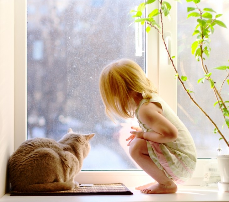 Gato sentado en el suelo viendo hacia la ventana con una niña a su lado 