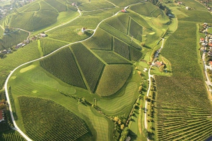 Viñedos de Eslovenia con formas alineados 