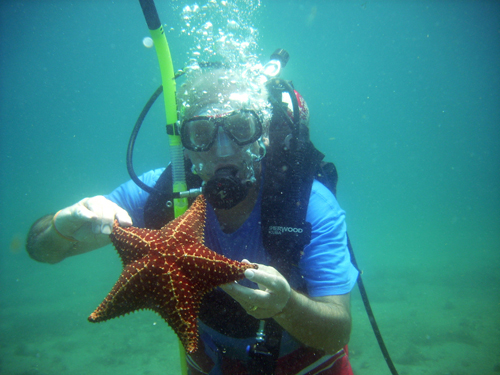 adulto mayor buceando y con estrella de mar en la mano