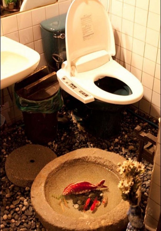 Baño con peces Koi