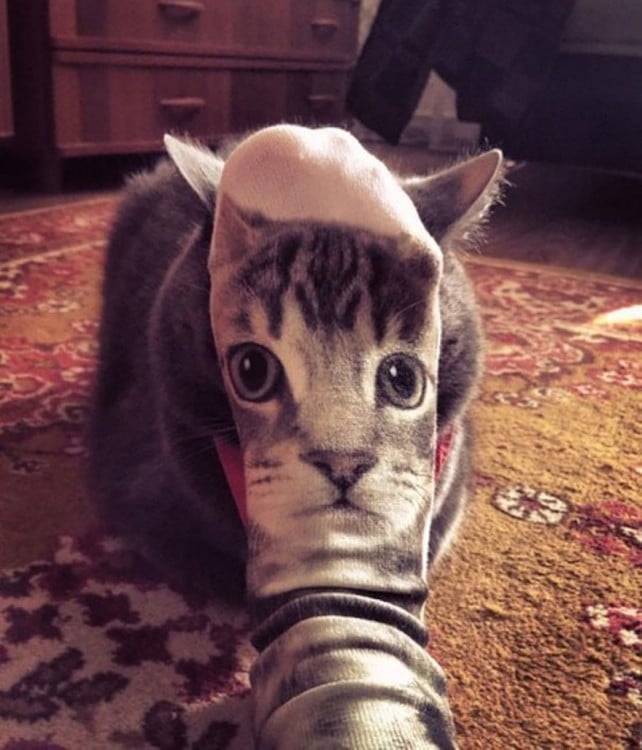 Calcetín con la cara de gato frente a un gato 