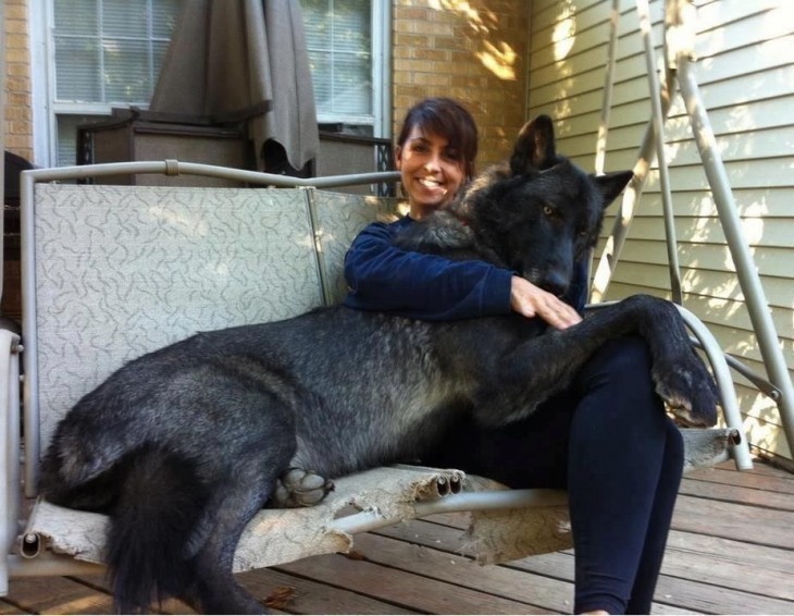 Chica junto a su perro grande sobre un columpio