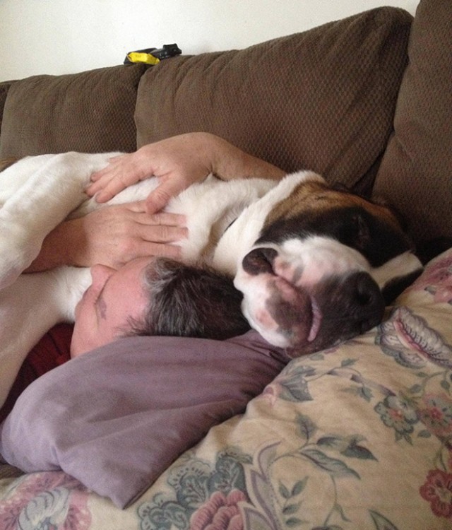 un perro grande dormido sobre un hombre en un sillon 