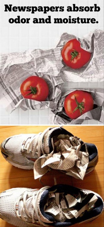 Tomate y tenis envueltos en papel periódico para eliminar el olor y la humedad 