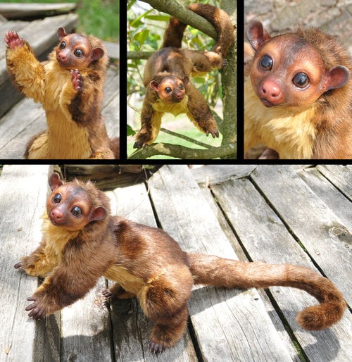 Kinkajou jugando en un arbol