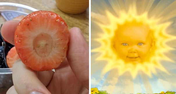 fresa y sol de teletubbies