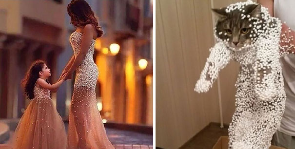 Vestido y gato iluminados