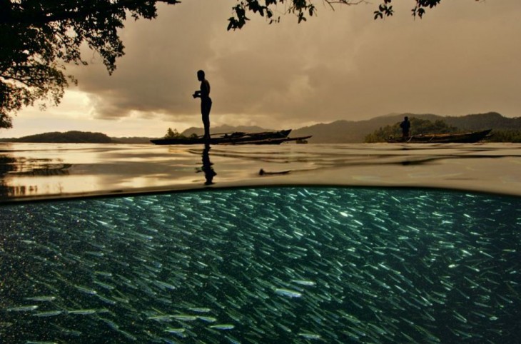 hombre pescando en el atardecer