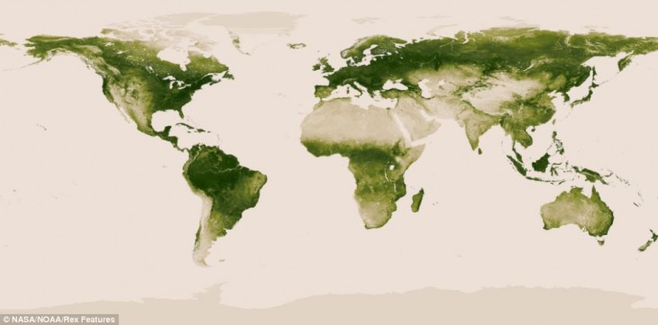 mapas de la vegetacion mundial