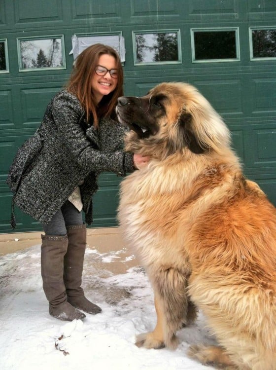 perro grande al lado de mujer