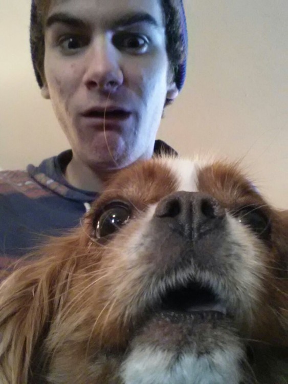 hombre y caniche en selfie