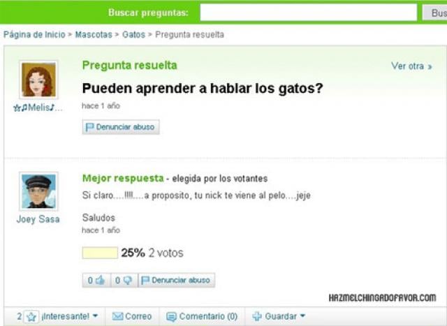 absurdas preguntas en yahoo respuestas