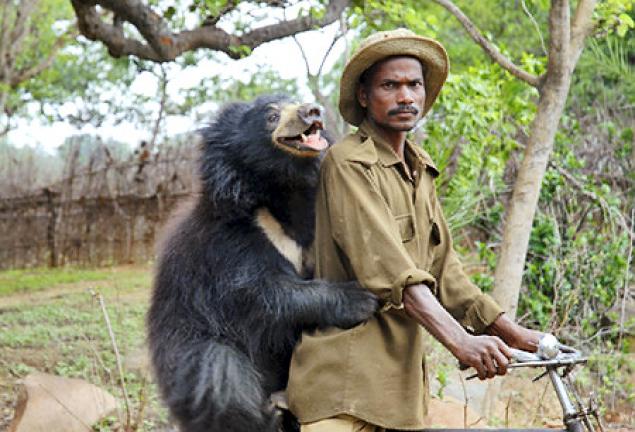 Resultado de imagen para LOS ANIMALES Y EL HOMBRE
