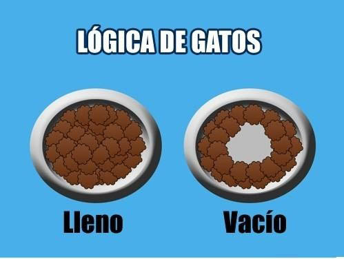 Lógica de los gatos comparando sus platos de comida 