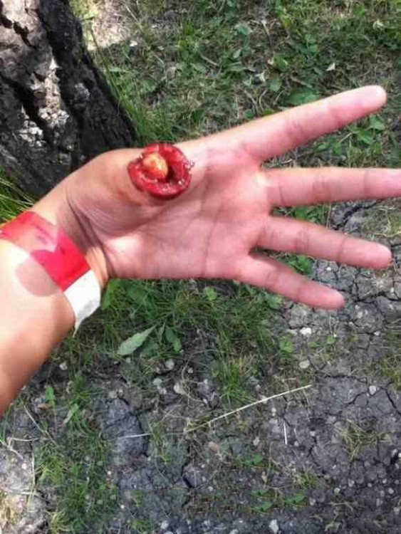 cereza en un dedo