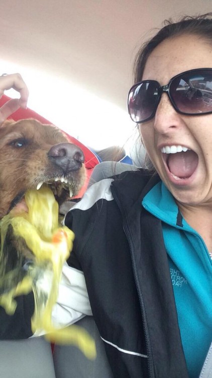 selfie mientras el perro vomita