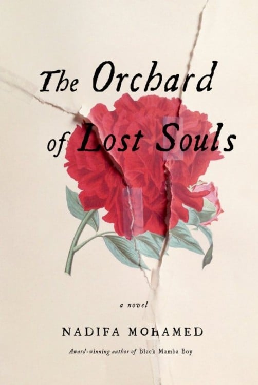 The Orchard of Lost Souls por Nadifa Mohamed