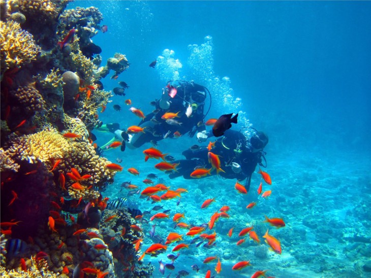 Buzos en el Golfo de Papagayo, Costa Rica 