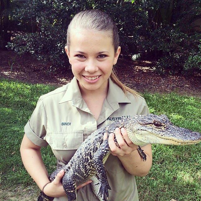 Bindi Irwin con un pequeño cocodrilo en las manos 