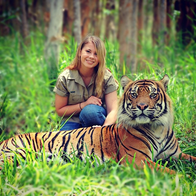 Bindi Irwin junto a un tigre en un pasto 