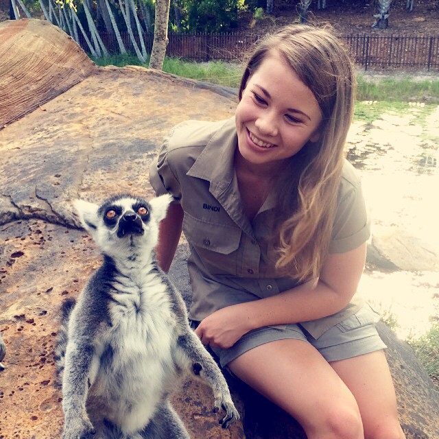 Bindi Irwin hija de Steve Irwin junto a un animal 