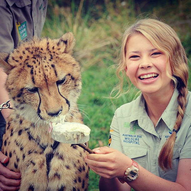 Bindi Irwin junto a un guepardo alimentándolo 