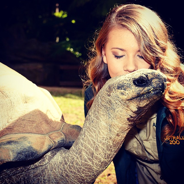 Bindi Irwin besando a una tortuga