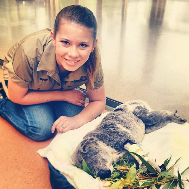 Bindi Irwin frente a un pequeño koala acostado 