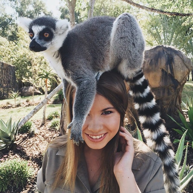 Bindi Irwin hija de Steve Irwin con un animal en su cabeza 