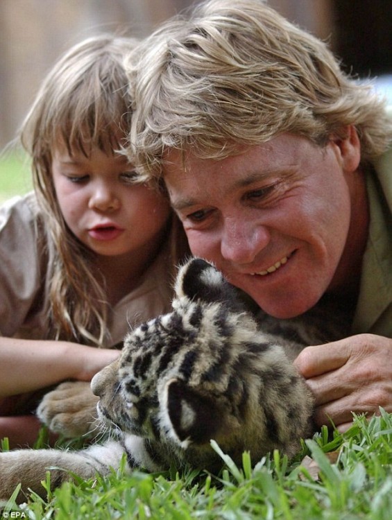 Steve Irwin junto a su hija Bindi Irwin con un pequeño puma acostados en el pasto 