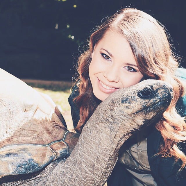 Bindi Irwin hija del "cazador de cocodrilos" Steve Irwin 