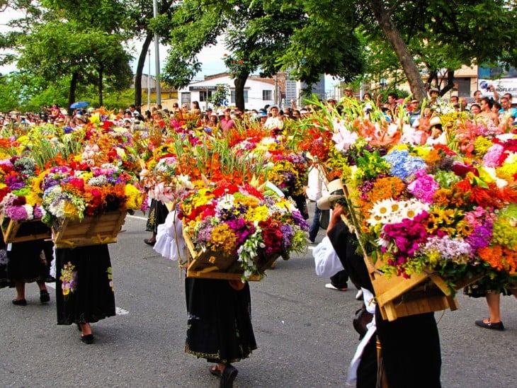 SILLATEROS FERIA DE LAS FLORES MEDELLIN COLOMBIA