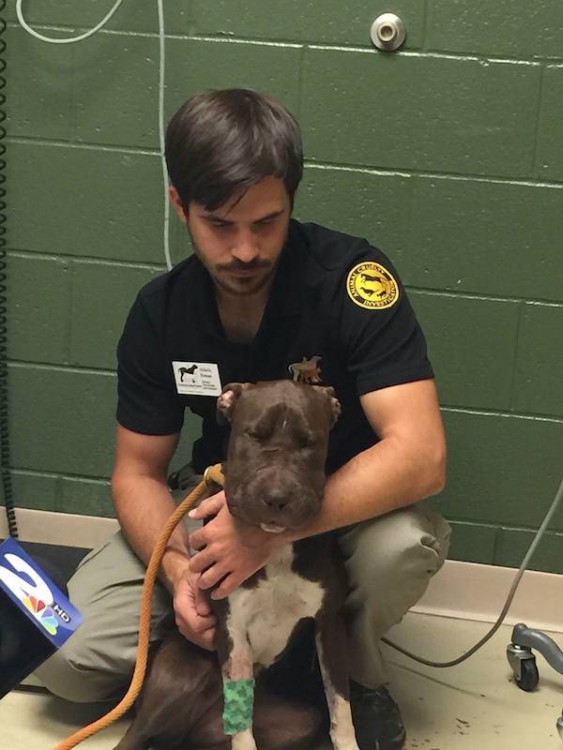 Director de una sociedad animal abrazando a una perrita rescatada 