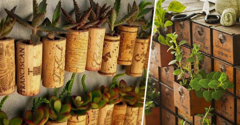 30 ideas para tener un mini jardín en casa