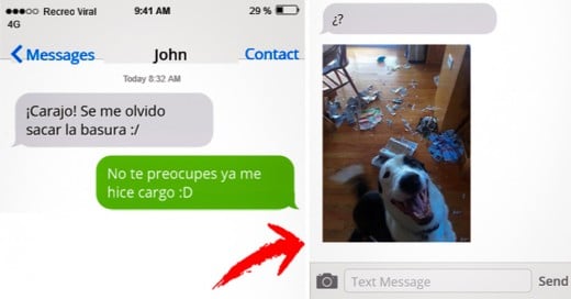 Si whatsapearas con tu perro