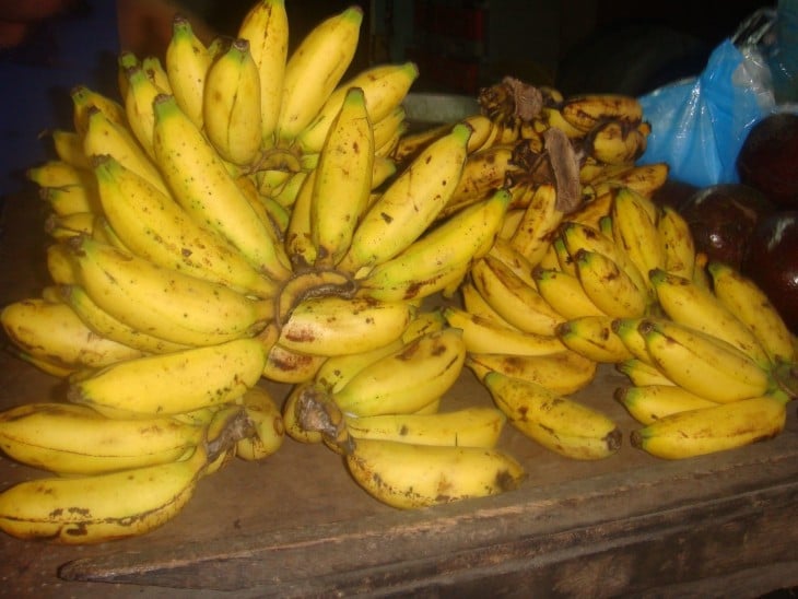 Comparación de los plátanos de 1800 a los plátanos actuales