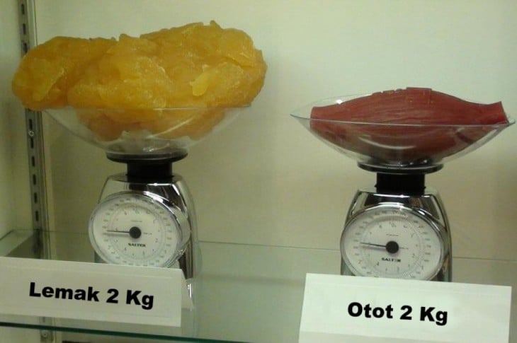 comparación del peso de la grasa con la del músculo
