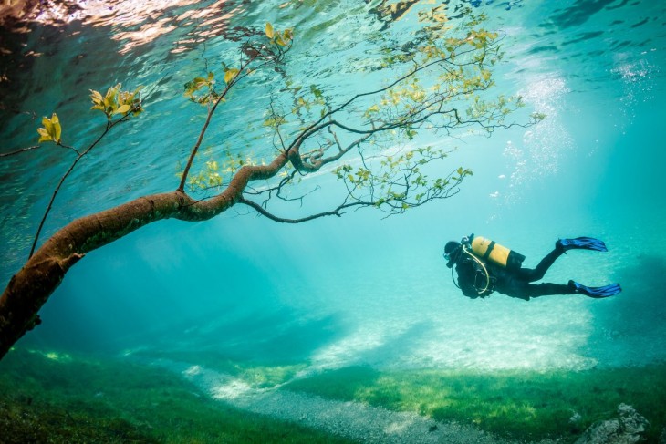 Lago en Austria donde un buzo esta a punto de pasar debajo de un árbol 