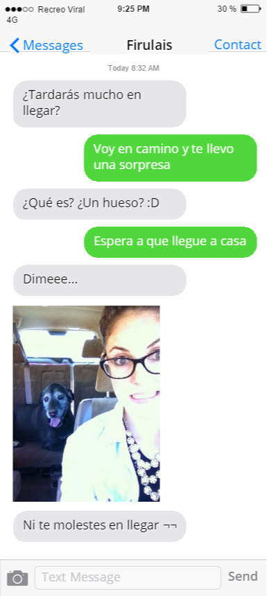 Mensajes de texto que te escribiría tu perro si supiera escribir 