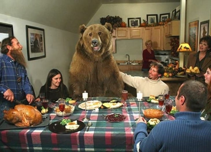 Imagen de brutus el oso junto a la familia donde fue criado 