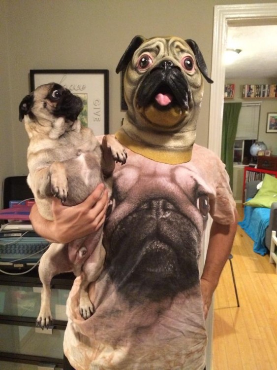 hombre disfrazado de pugs