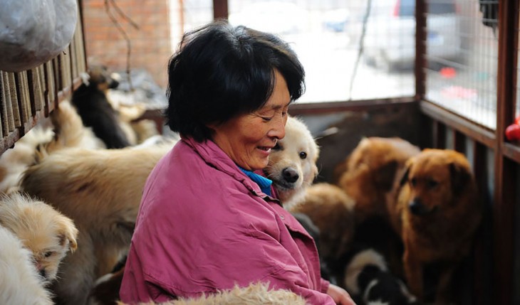 Señora China con perros a sus lados y debajo de ella dentro de una habitación 