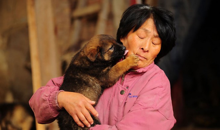 Un pequeño perro lamiendo el cachete de una mujer que lo tiene en sus brazos 