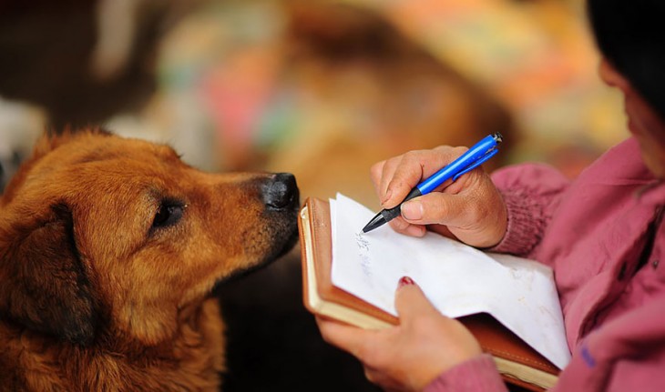 Manos de una mujer escribiendo en una libreta con un perro frente a ella mirándola 