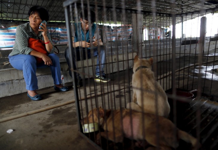 Mujer junto a un chico sentados en unos bloques de cemento frente a las jaulas con dos perros 