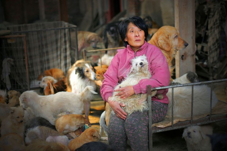 Mujer sentada dentro de una habitación rodeada de perros 