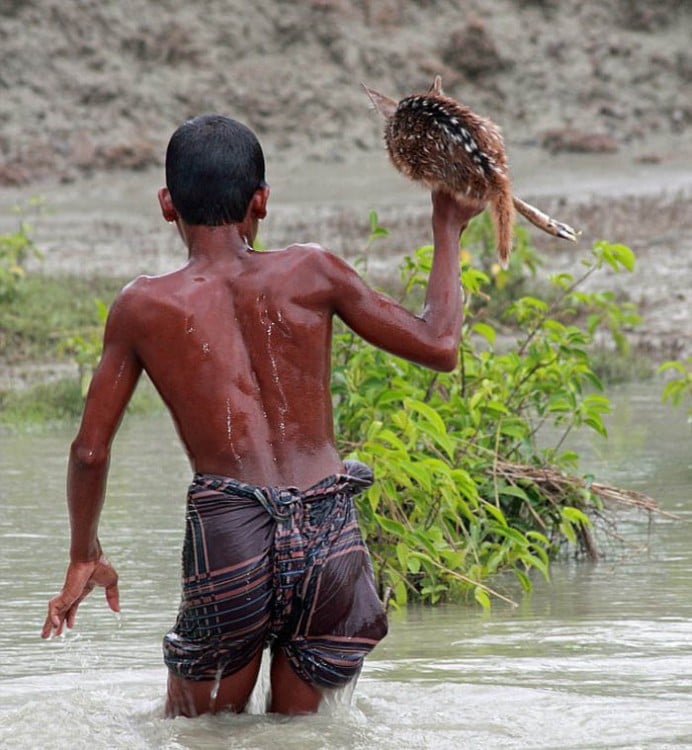 niño caminando por un río salvando a un ciervo de ser ahogado 